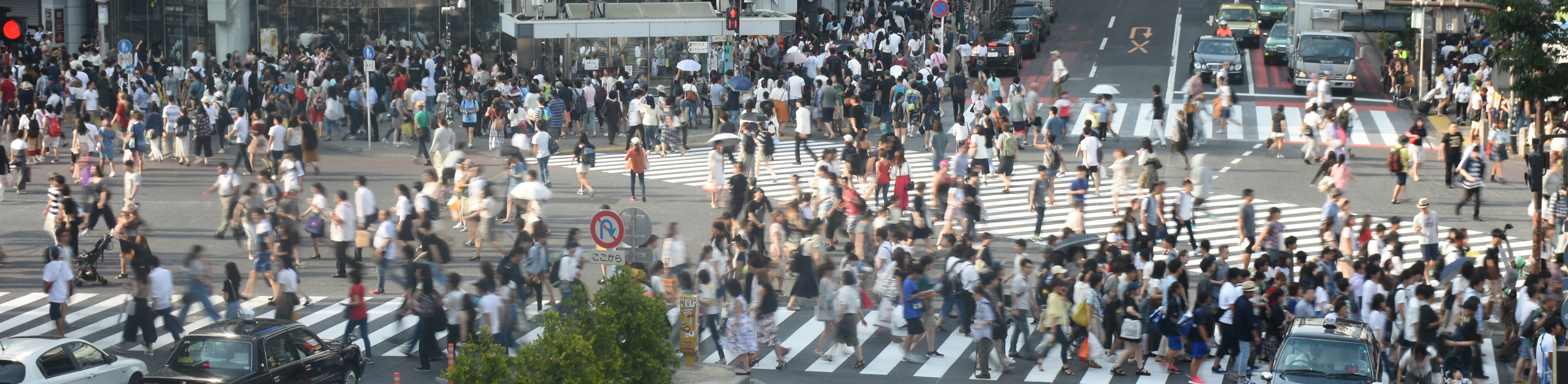 ＭＴＰＣの強み
